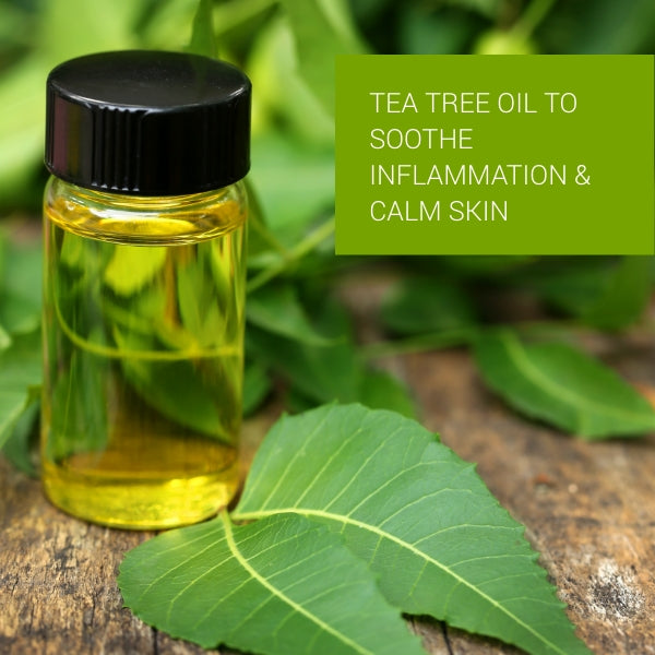 Herbal Anti Acne Repair Gel Cream