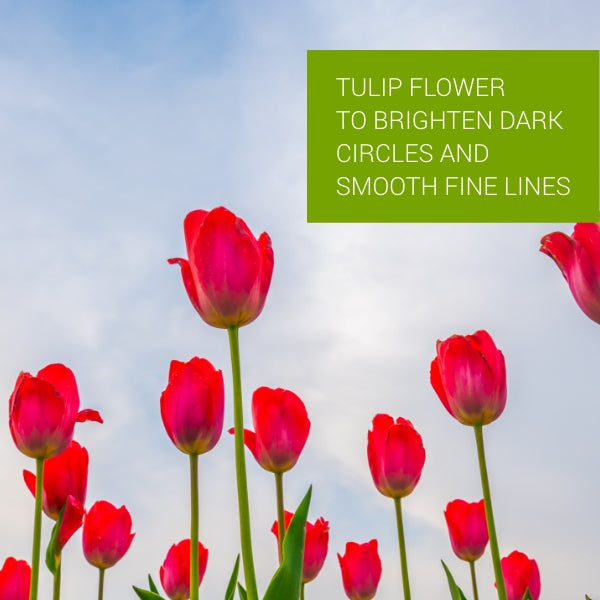 Revitalizing Under Eye Brightening Repair Gel