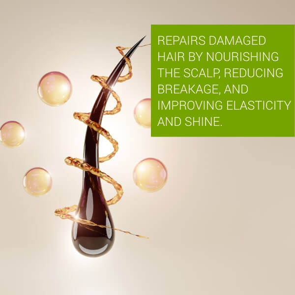 Scalp Renaissance Anti Hair Fall Shampo
